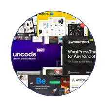 wordpress themes installation and setup service in chhattisgarh